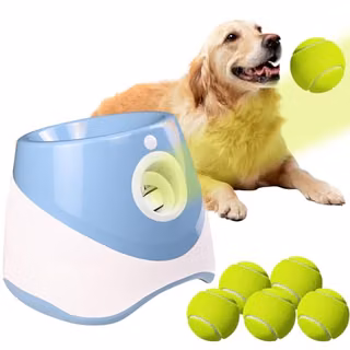 Un lanceur de balles automatique (ai-review B0FKMYRWTX)