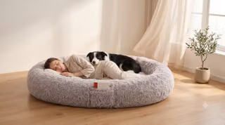 Lit Chien Humain