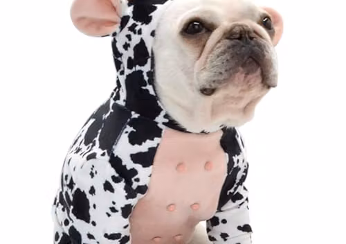 Un costume de vache pour chien (ai-review B0CMC3QZ8H)